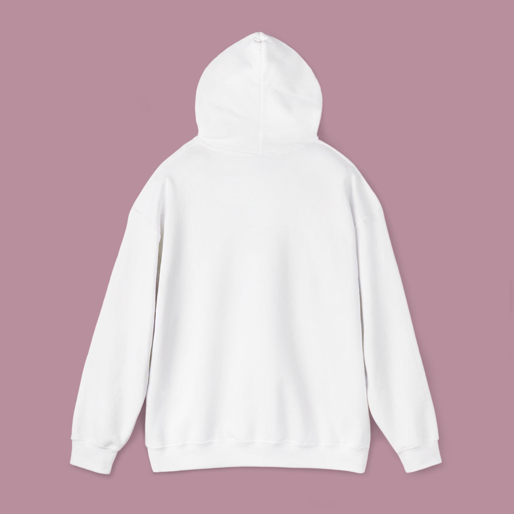 Hoodie Adulte — Souris Sur Une Oie