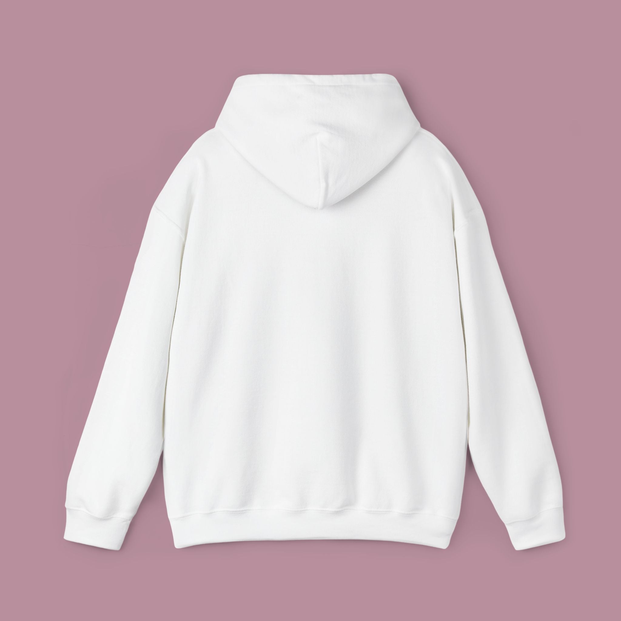 Hoodie Adulte — Souris Sur Une Oie